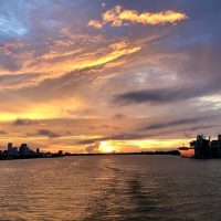 Cruises, Sailing & Water Tours