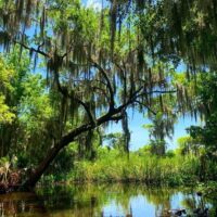 Eco Tours