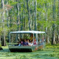 Eco Tours