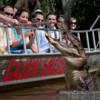 Day Trips & Excursions