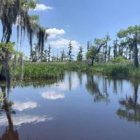Airboat Tours