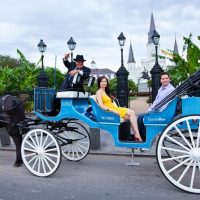 Private & Custom Tours