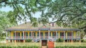 Great guide - interesting plantation