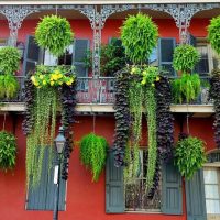Ports of Call Tours