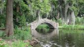 Great walk in the park