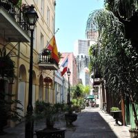 Bus & Minivan Tours