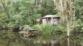 Down on the Bayou 