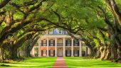 A taste of New Orleans