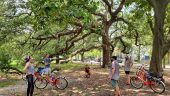 Great Bike Tour