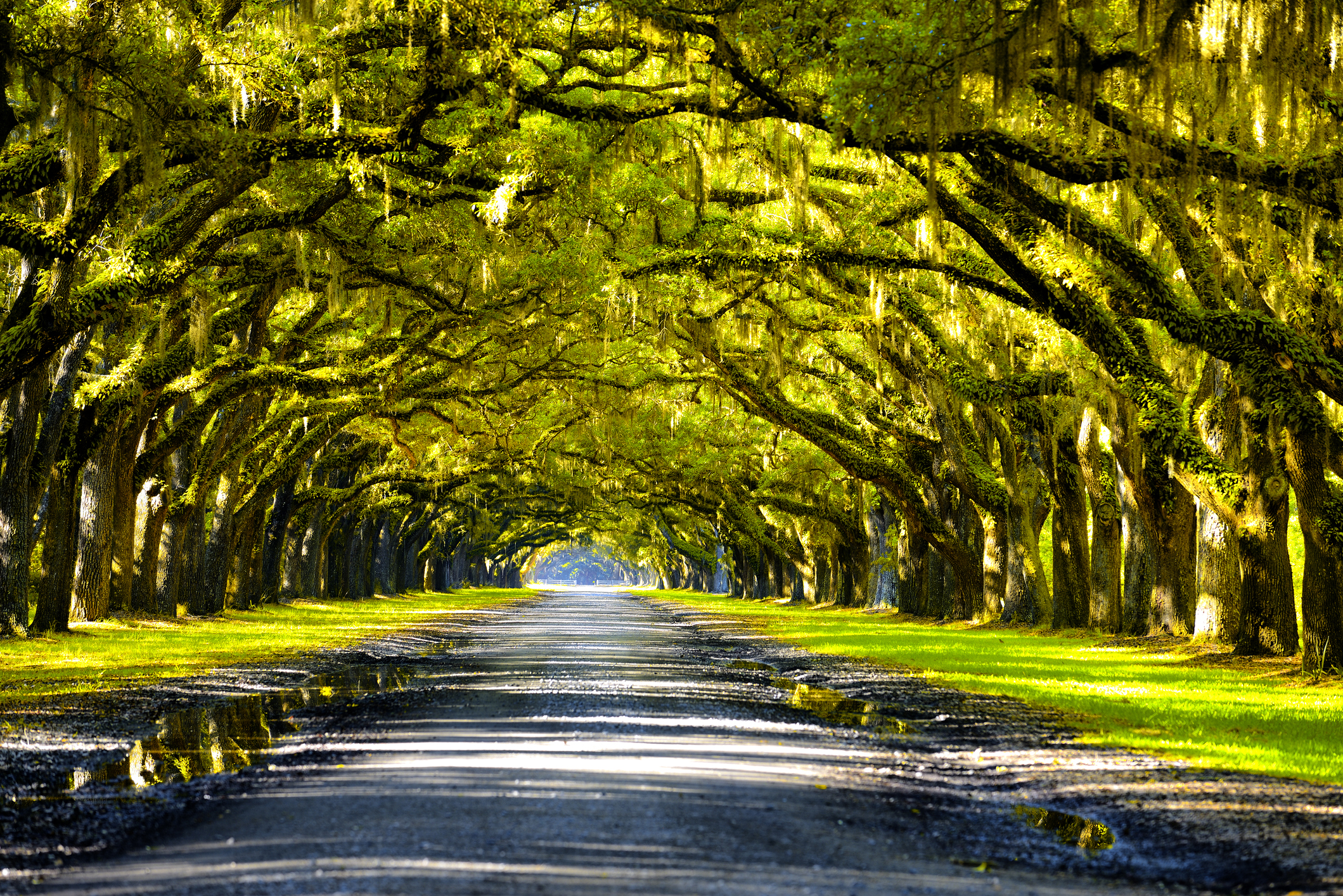 New Orleans’ Most Famous Plantation Tours (Updated August 2026)