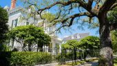 Garden District Tour